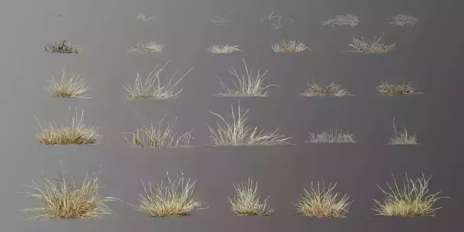 wild grass