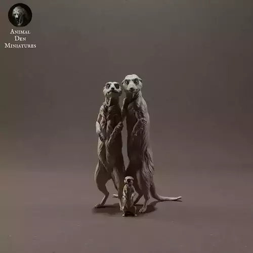 Meerkats three 3D print model