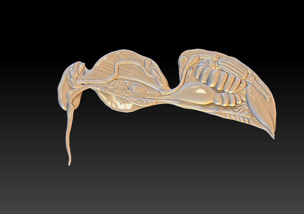 honey bee anatomy 3D print model_3