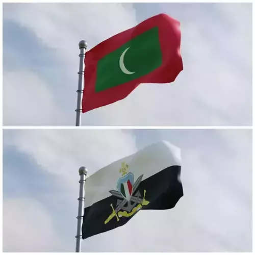 Animated Maldives Flags 
