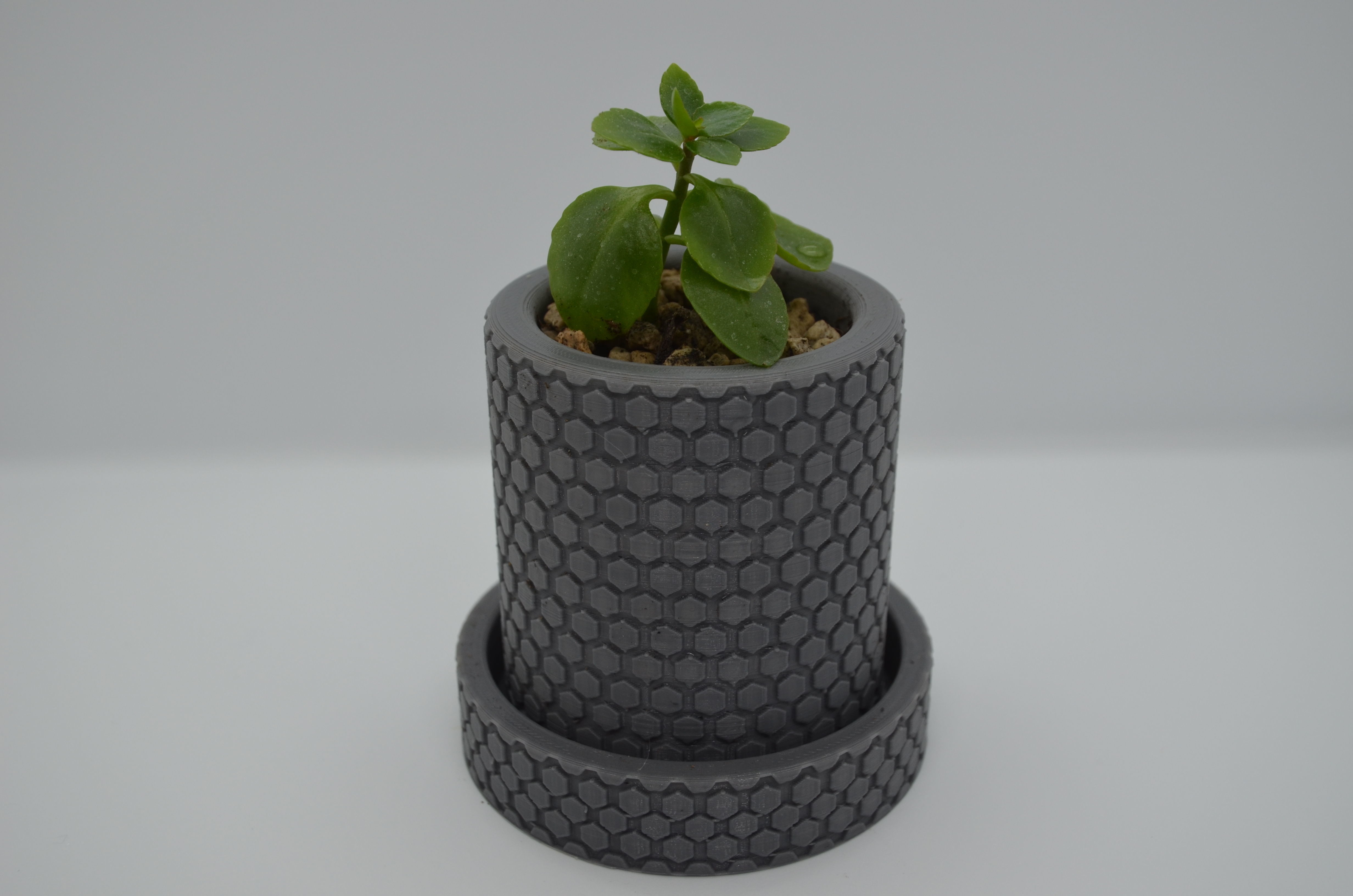 Flowerpot1 planter with plant inside 3D print model_1