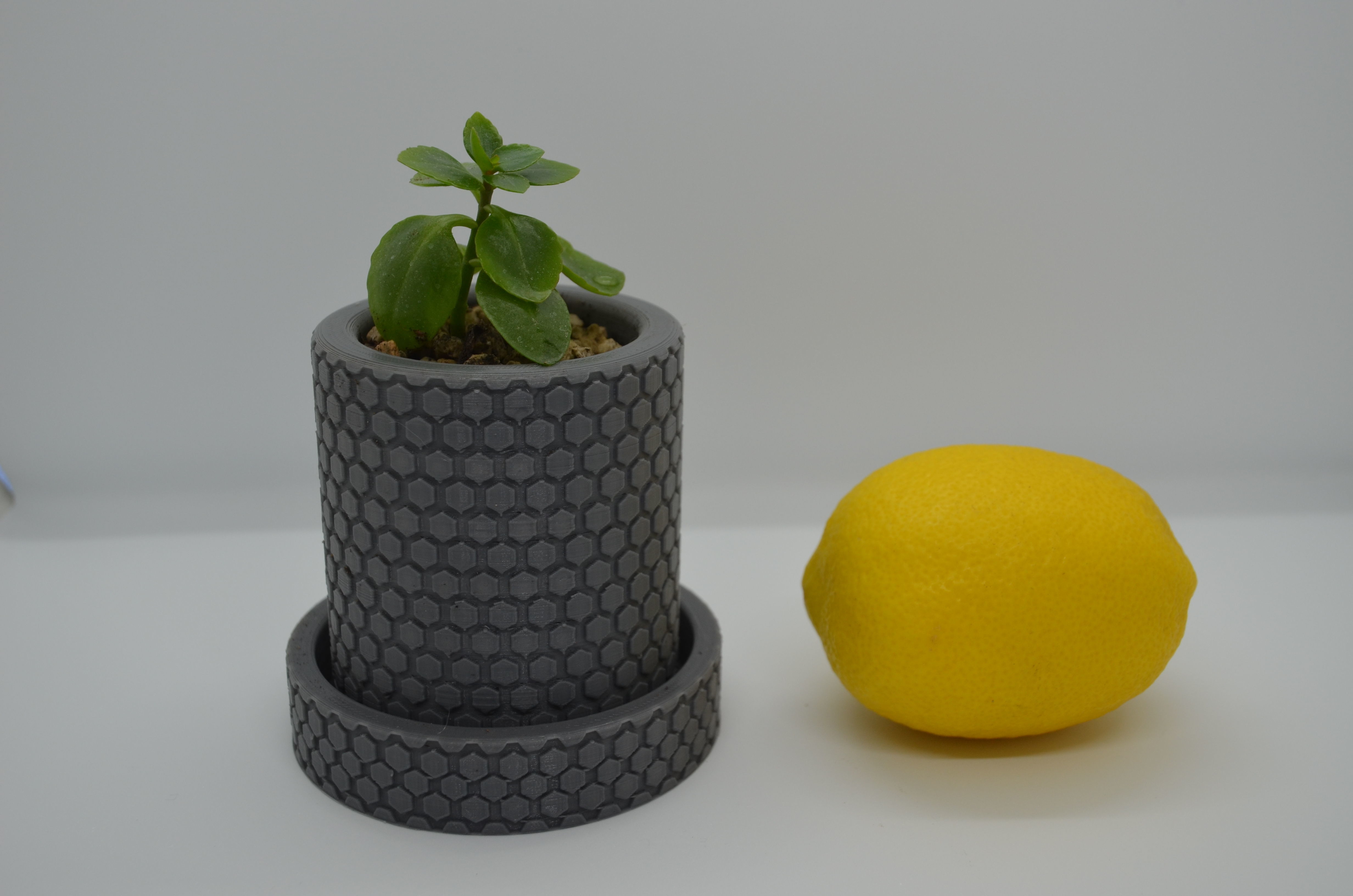 Flowerpot1 planter with plant inside 3D print model_6