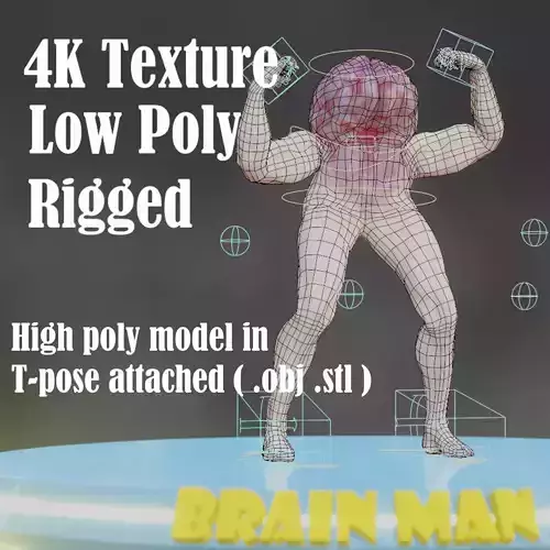 Brain man Low-poly 3D model