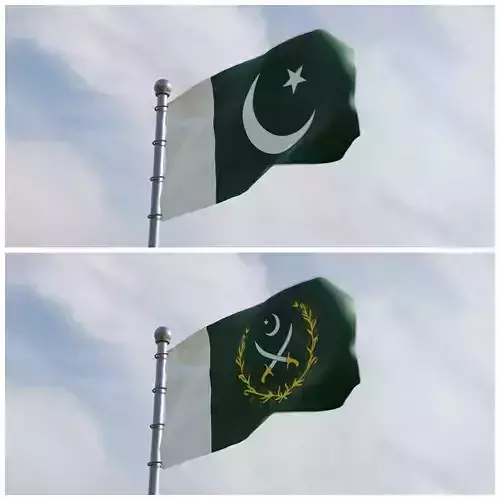 Animated Pakistan Flags
