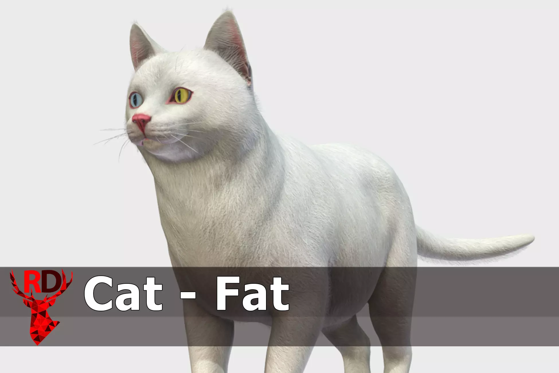 Cats - Fat Low-poly 3D model_0
