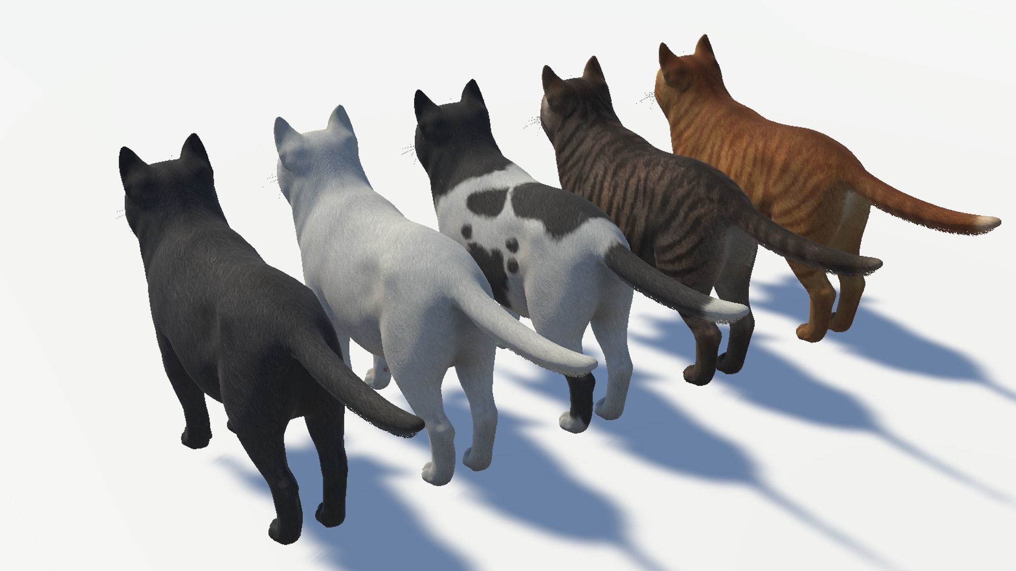 Cats - Fat Low-poly 3D model_13