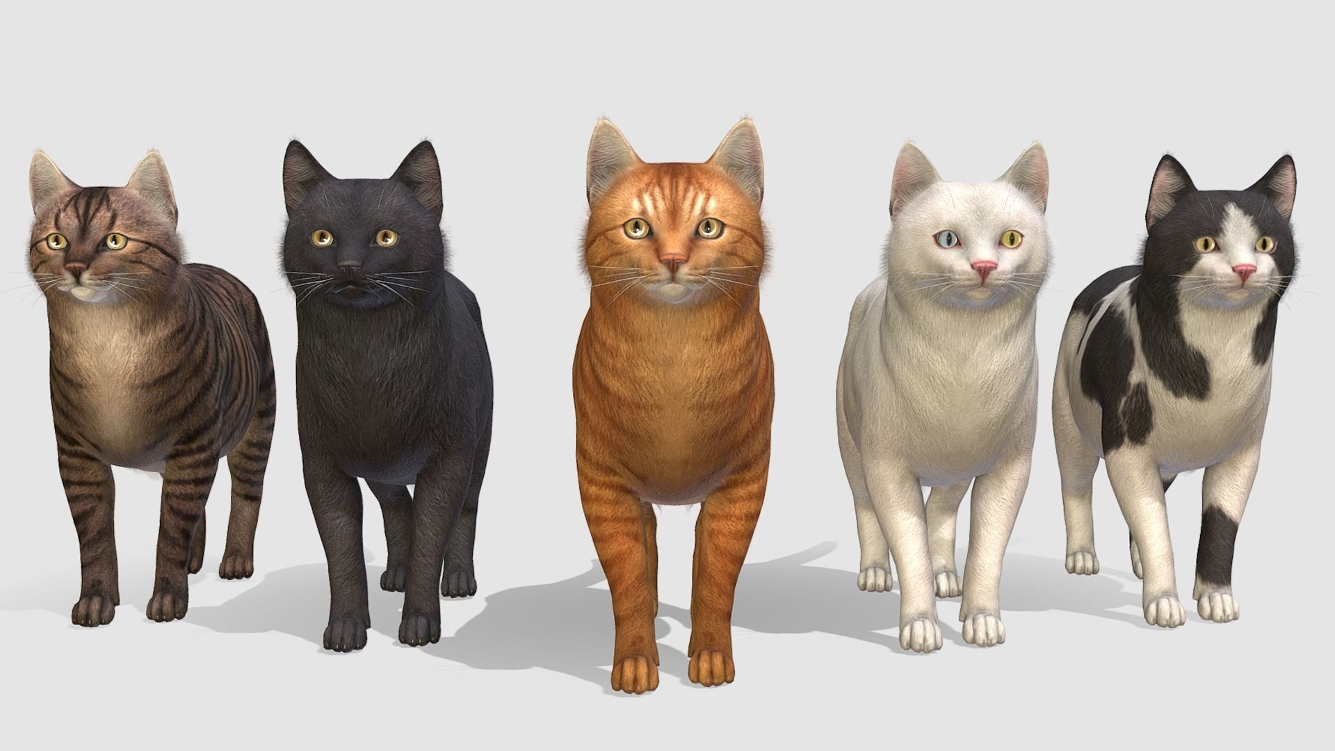 Cats - Fat Low-poly 3D model_1