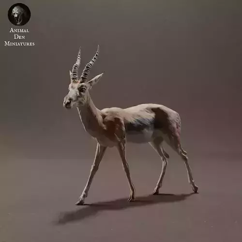 Thomsons Gazelle 3D print model