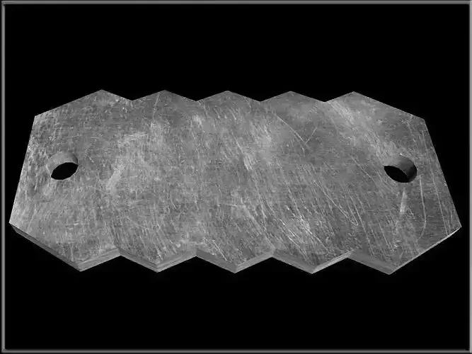 Identification tag Zigzag - 2 Holes