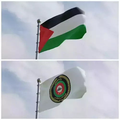 Animated Palestine Flags