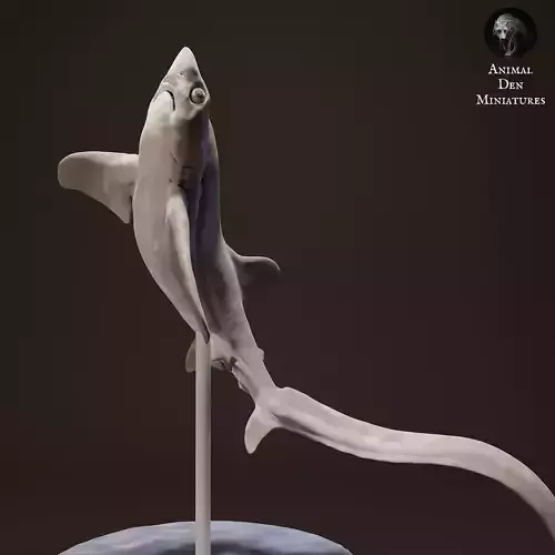 Big Eye Thresher Shark Jump 3D print model