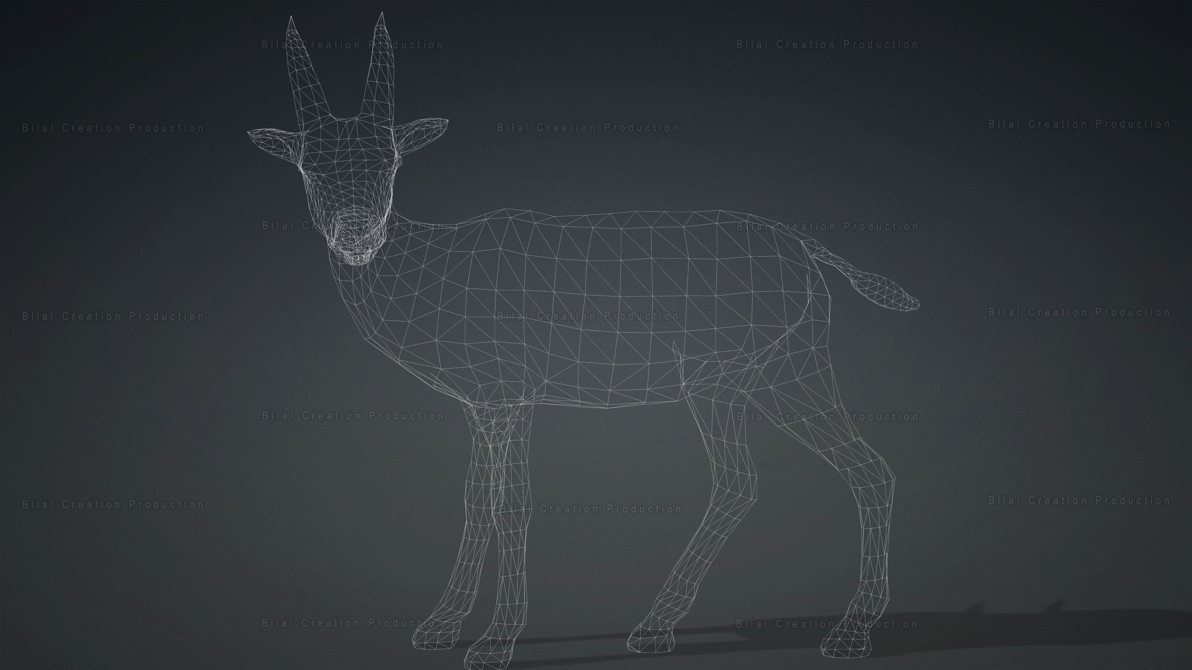 Deer with Animation 10 Low-poly 3D model_20