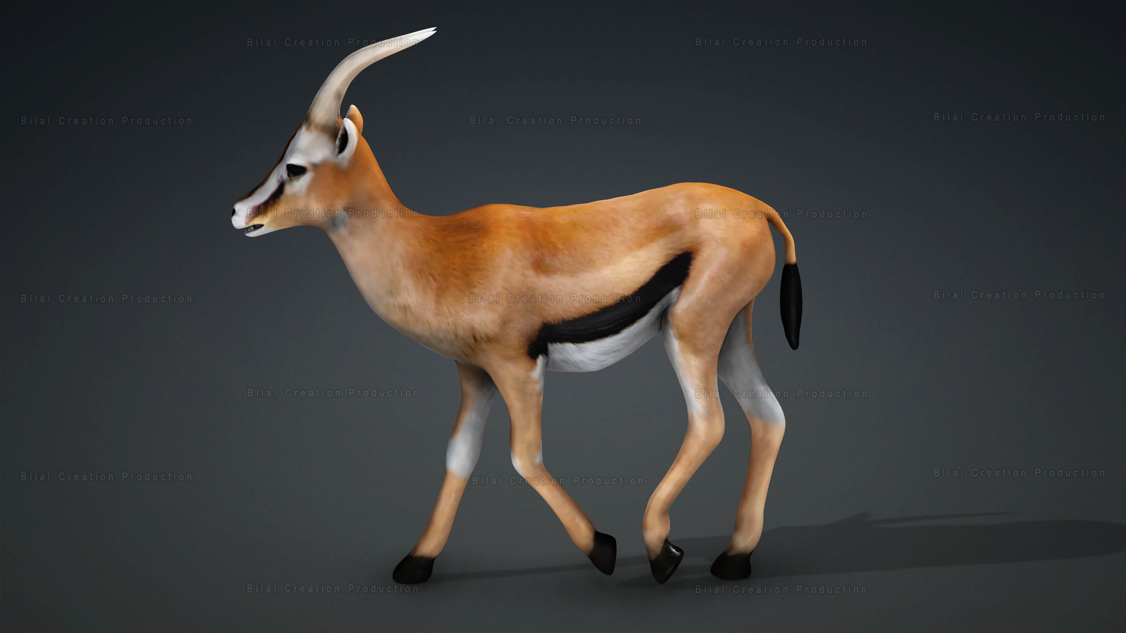 Deer with Animation 10 Low-poly 3D model_6