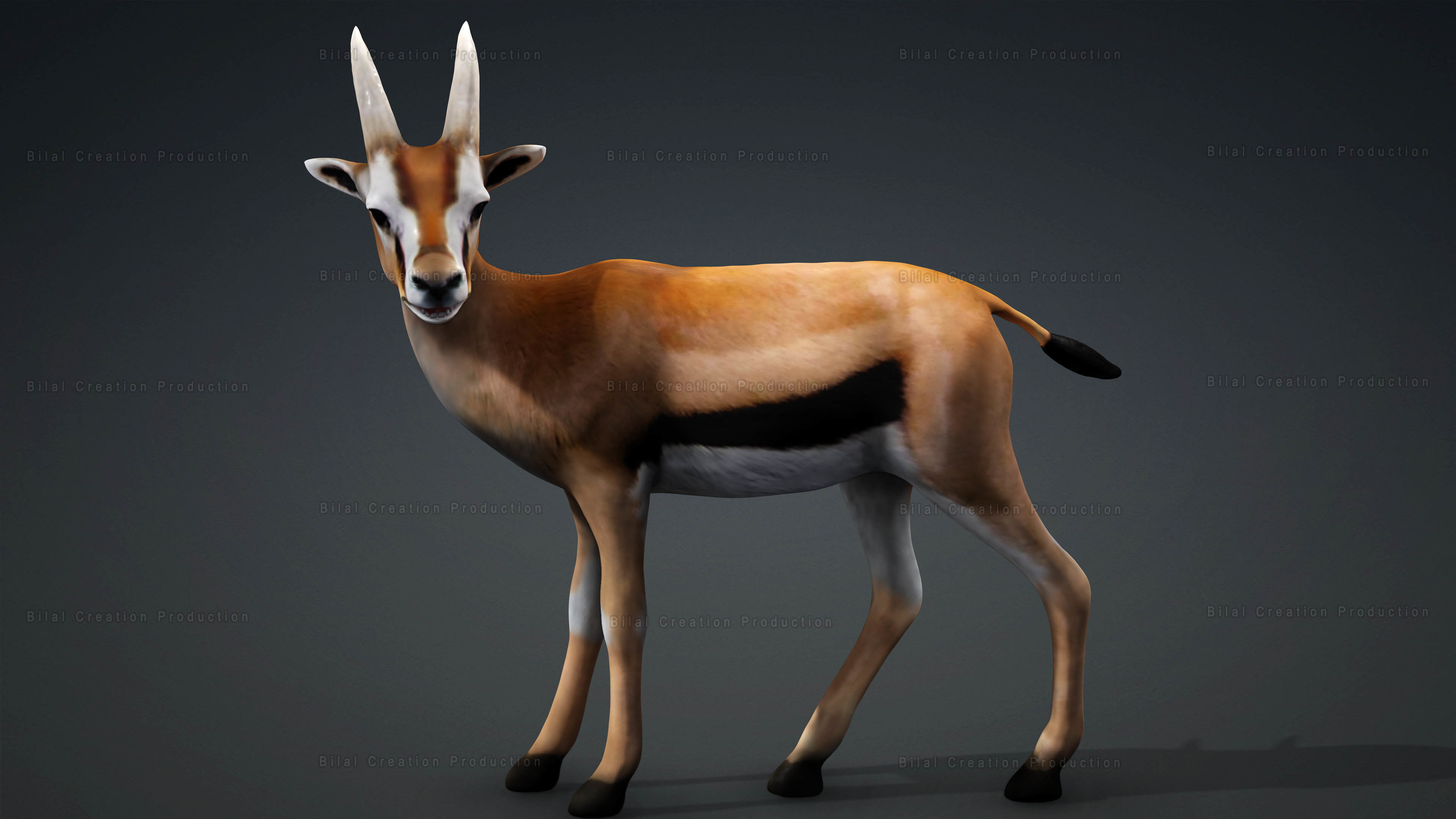 Deer with Animation 10 Low-poly 3D model_11
