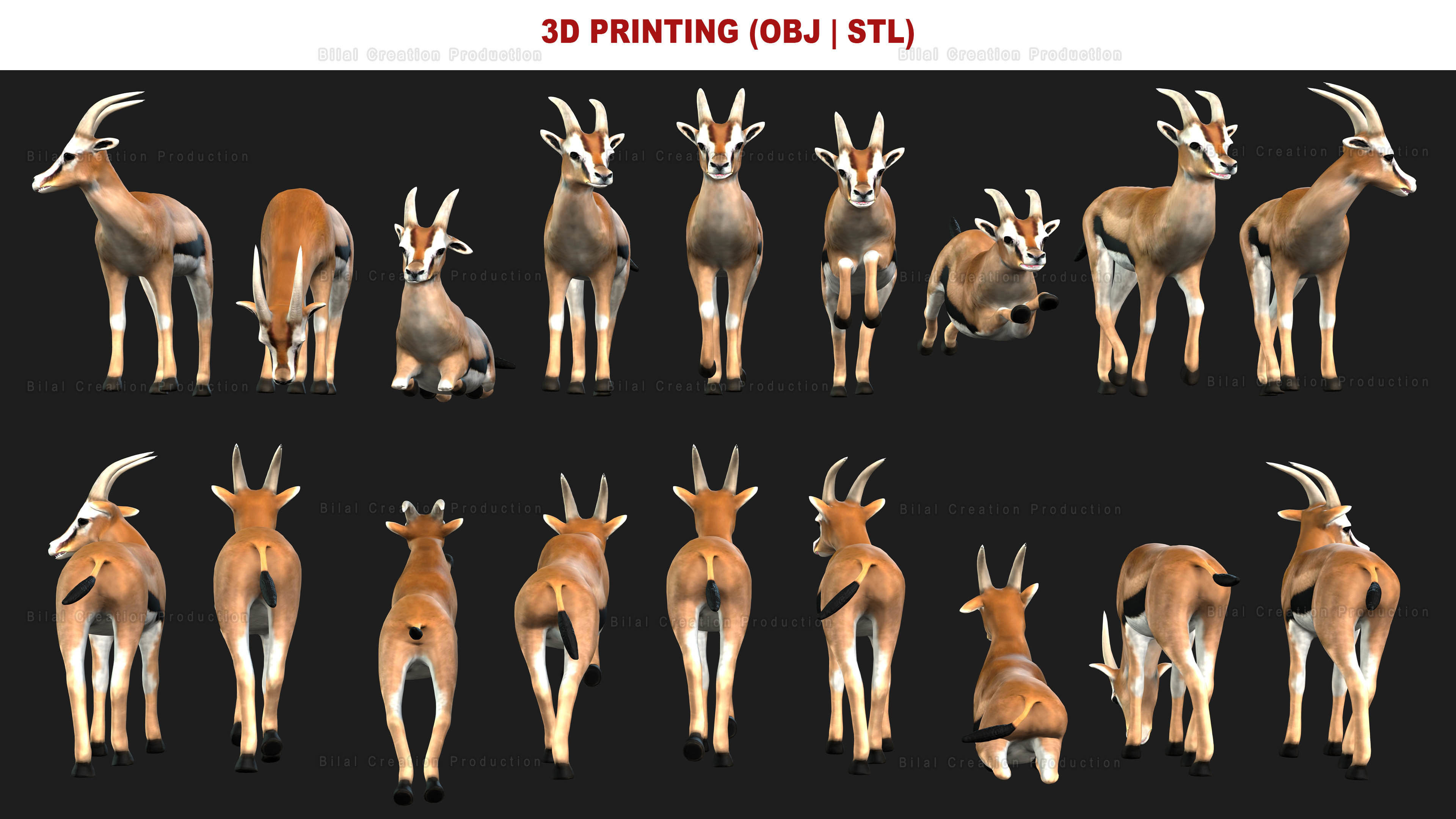 Deer with Animation 10 Low-poly 3D model_13