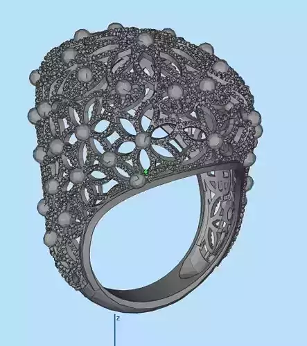 jewelry ring with lot of detail