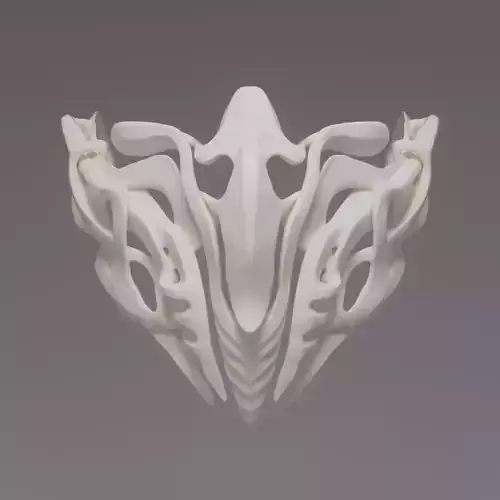 MASK 2024 - BONES 3D print model