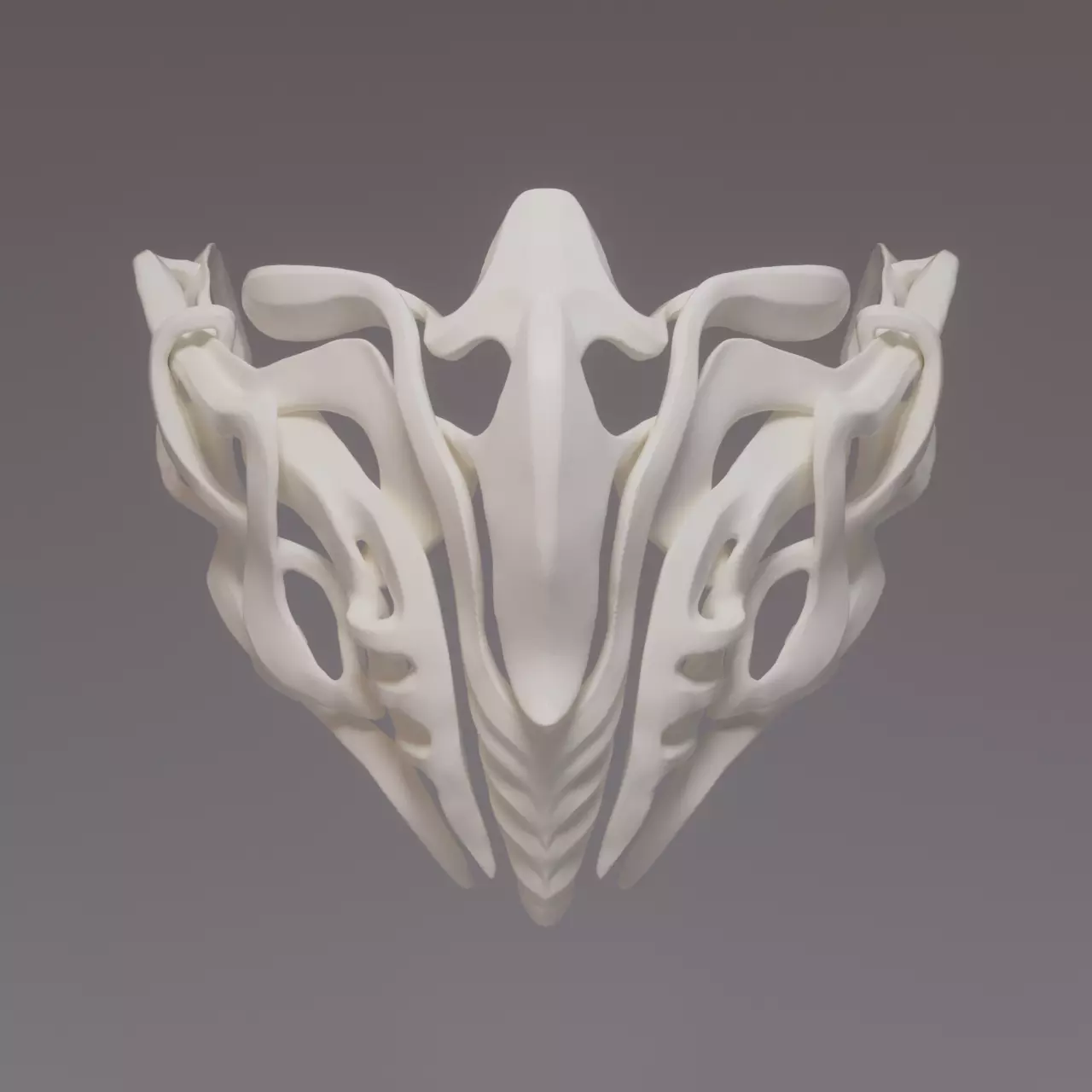 MASK 2024 - BONES 3D print model_0