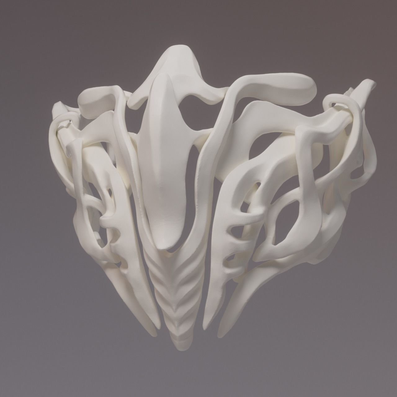 MASK 2024 - BONES 3D print model_6