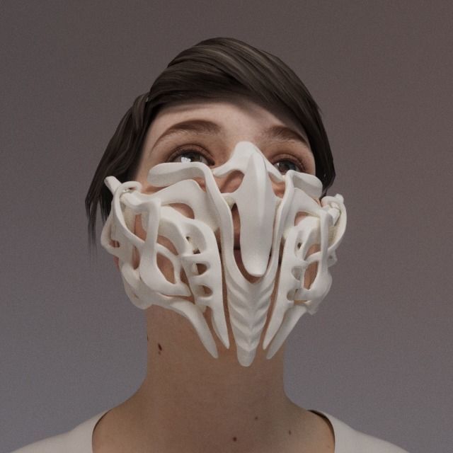 MASK 2024 - BONES 3D print model_12