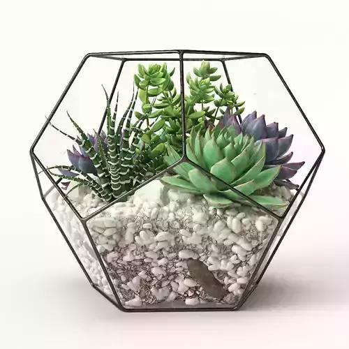 Florarium Florarium terrarium planter 3D model