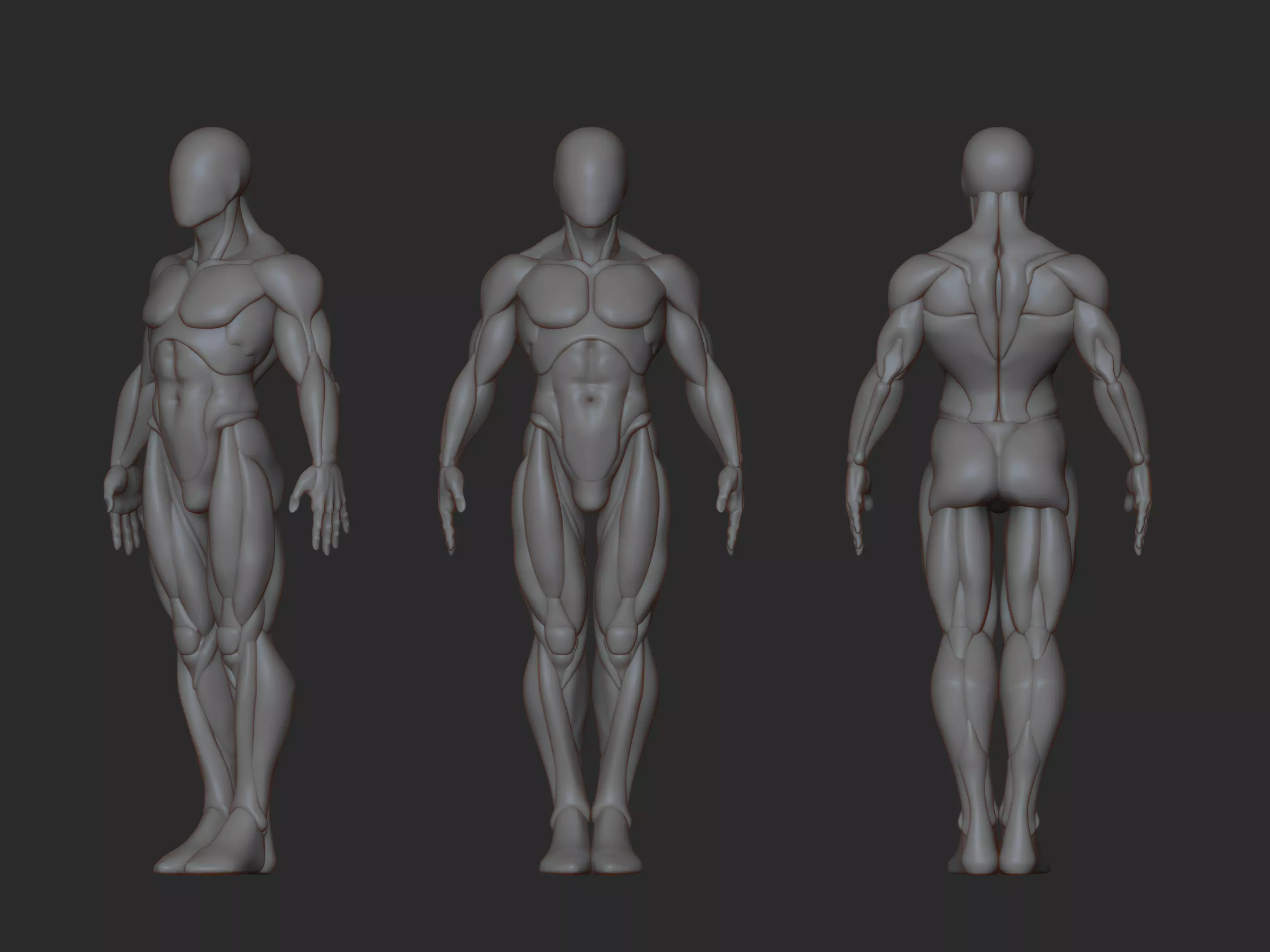 Male basemesh 3D print model