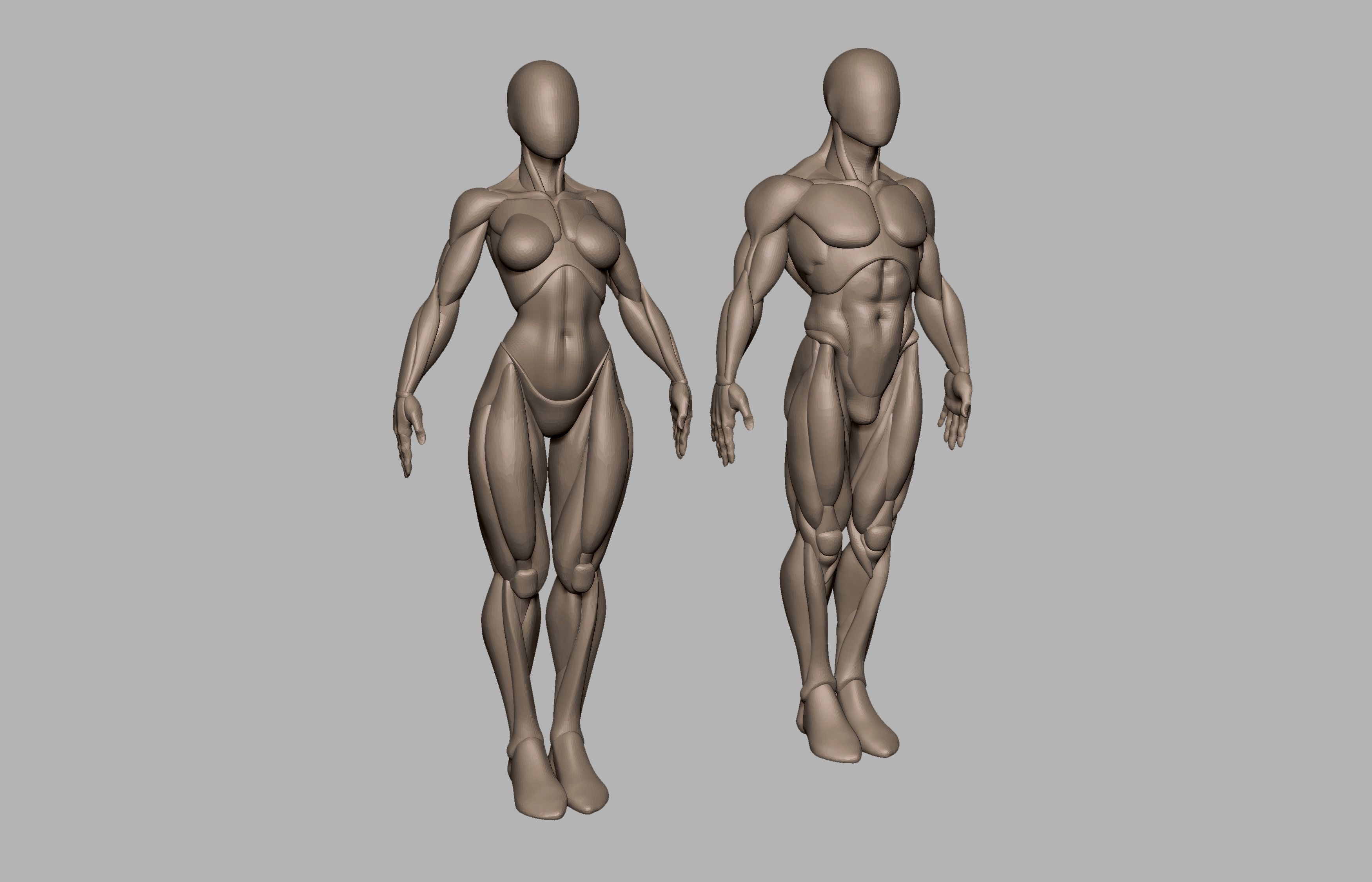 Male and female basemeshes pack 3D print model_4