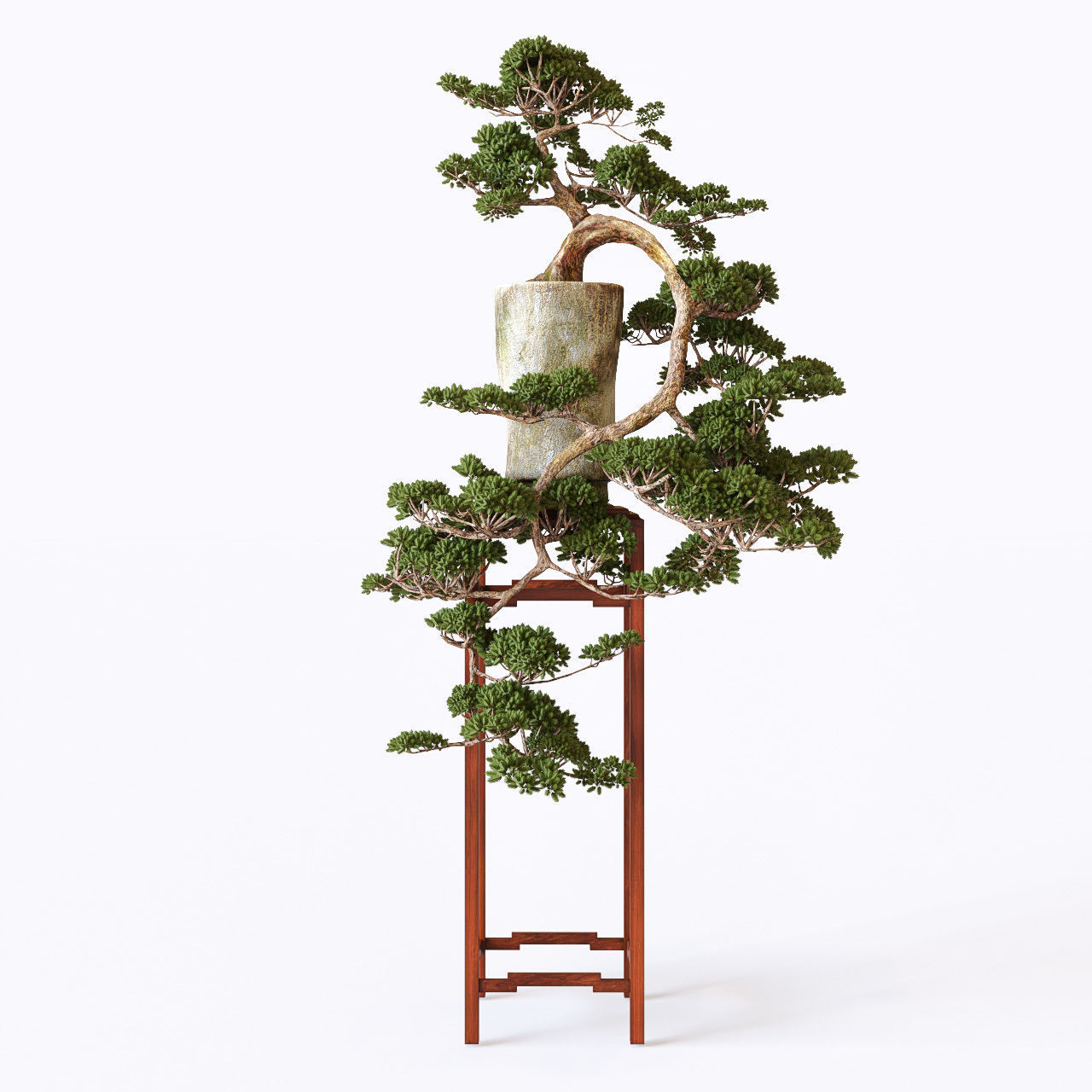 Bonsai japanese tree 3D model_1