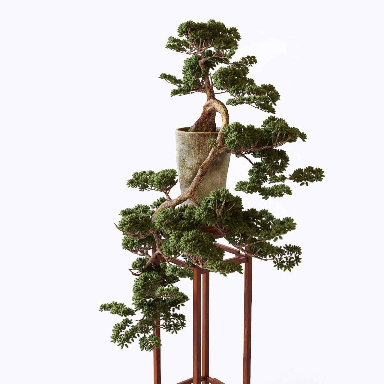 Bonsai japanese tree 3D model_3