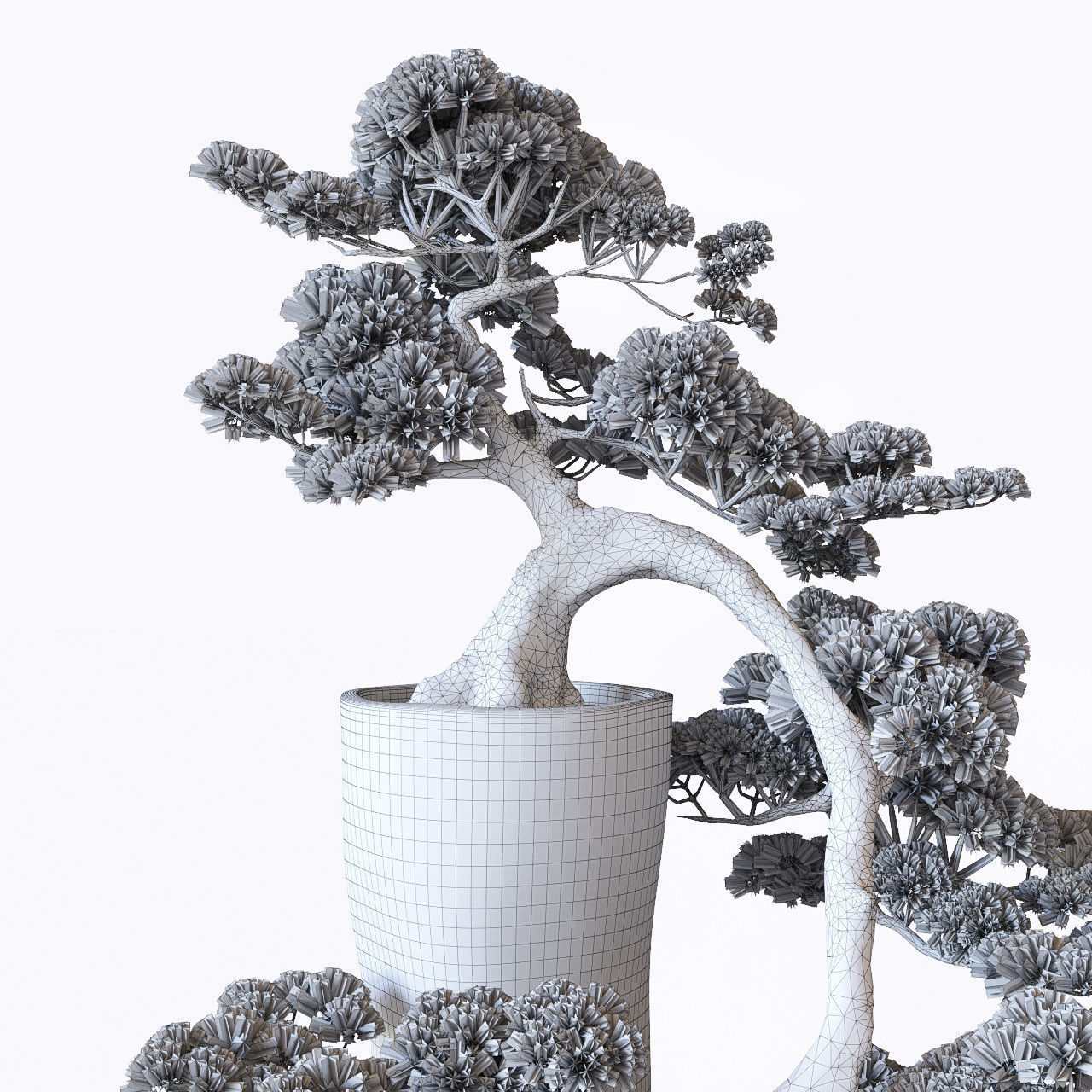 Bonsai japanese tree 3D model_6