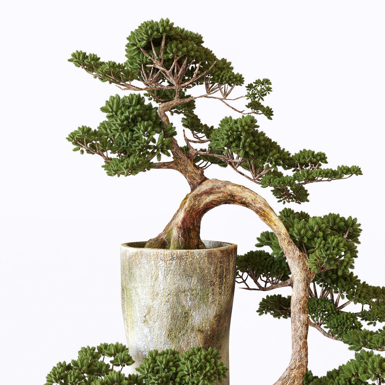 Bonsai japanese tree 3D model_4