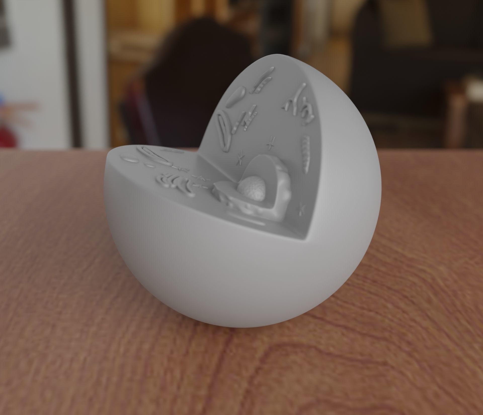 Animal Cell 3D print model_1