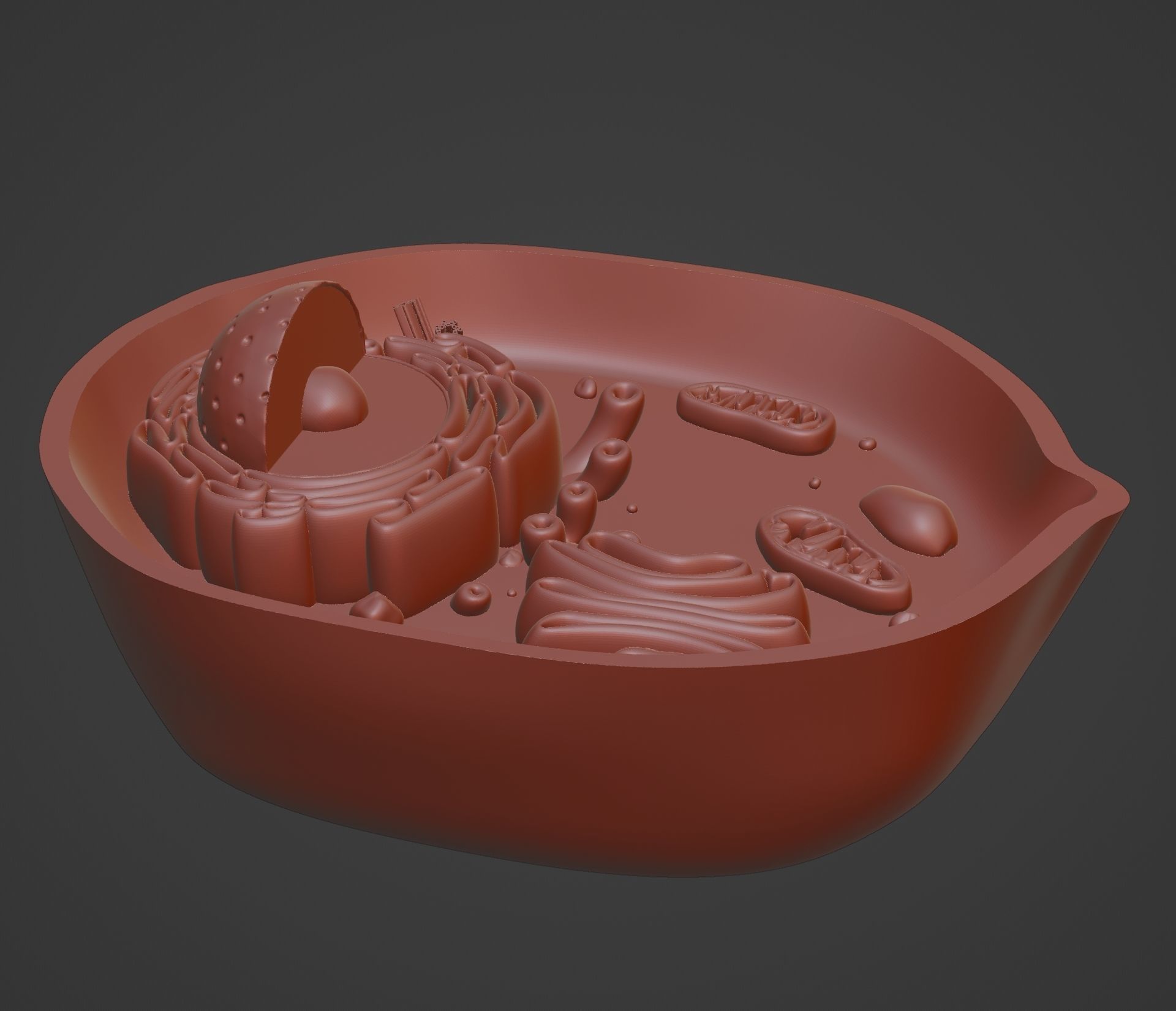 ANIMAL CELL 3D print model_4