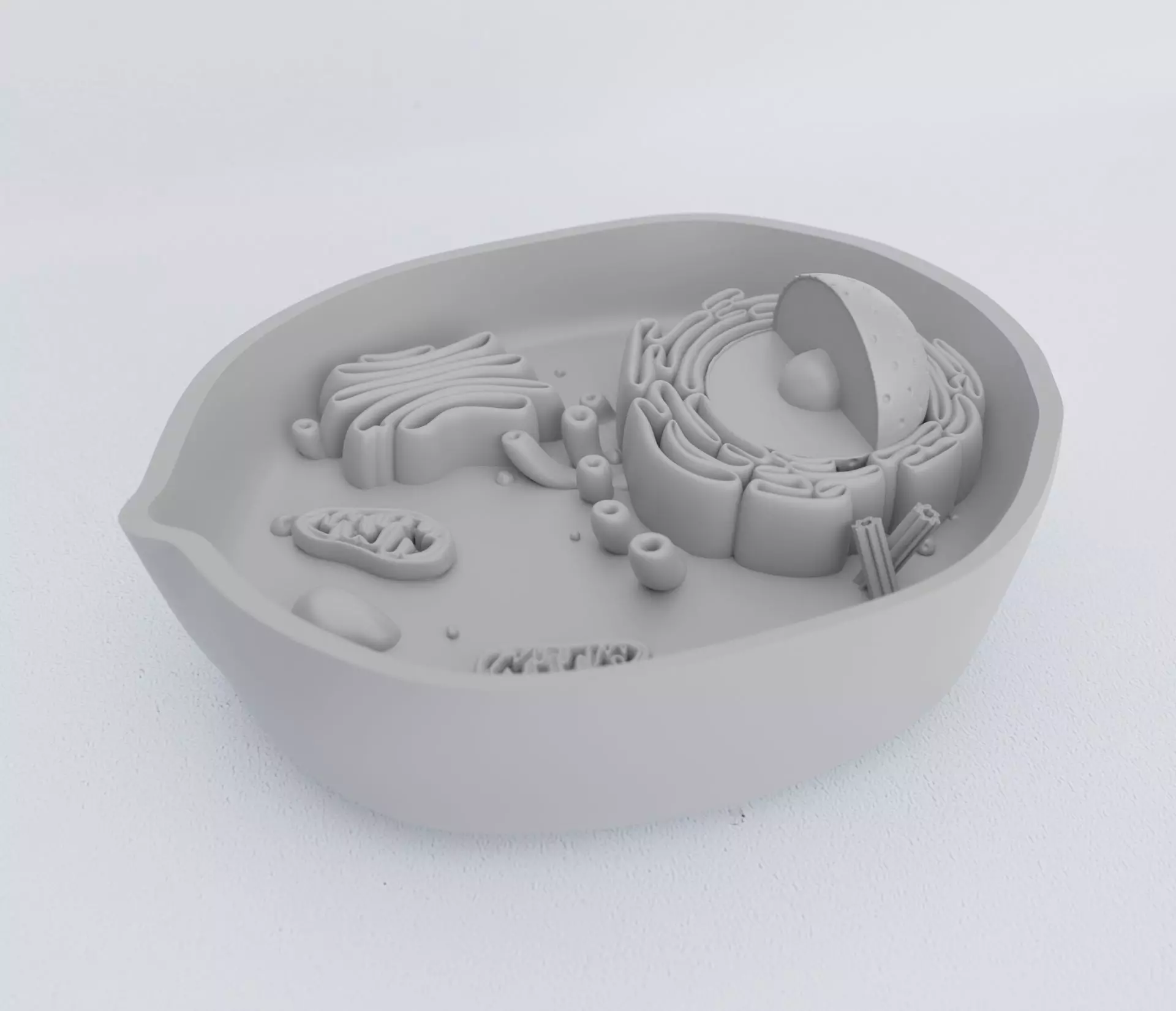 ANIMAL CELL 3D print model_0