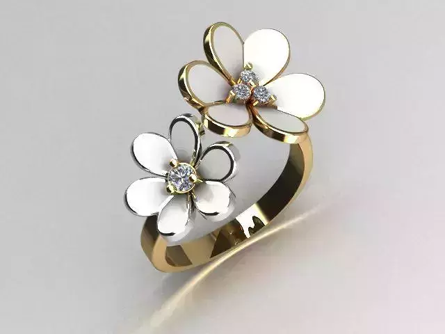 jewelry ring