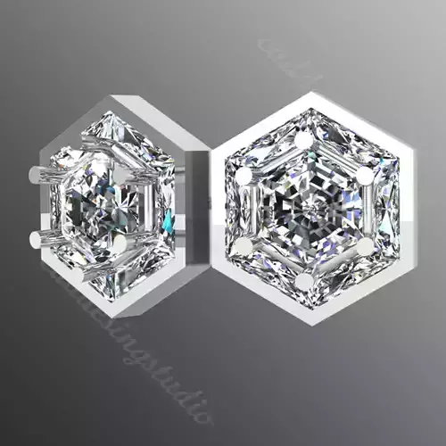 Earrings kt12 3D print model