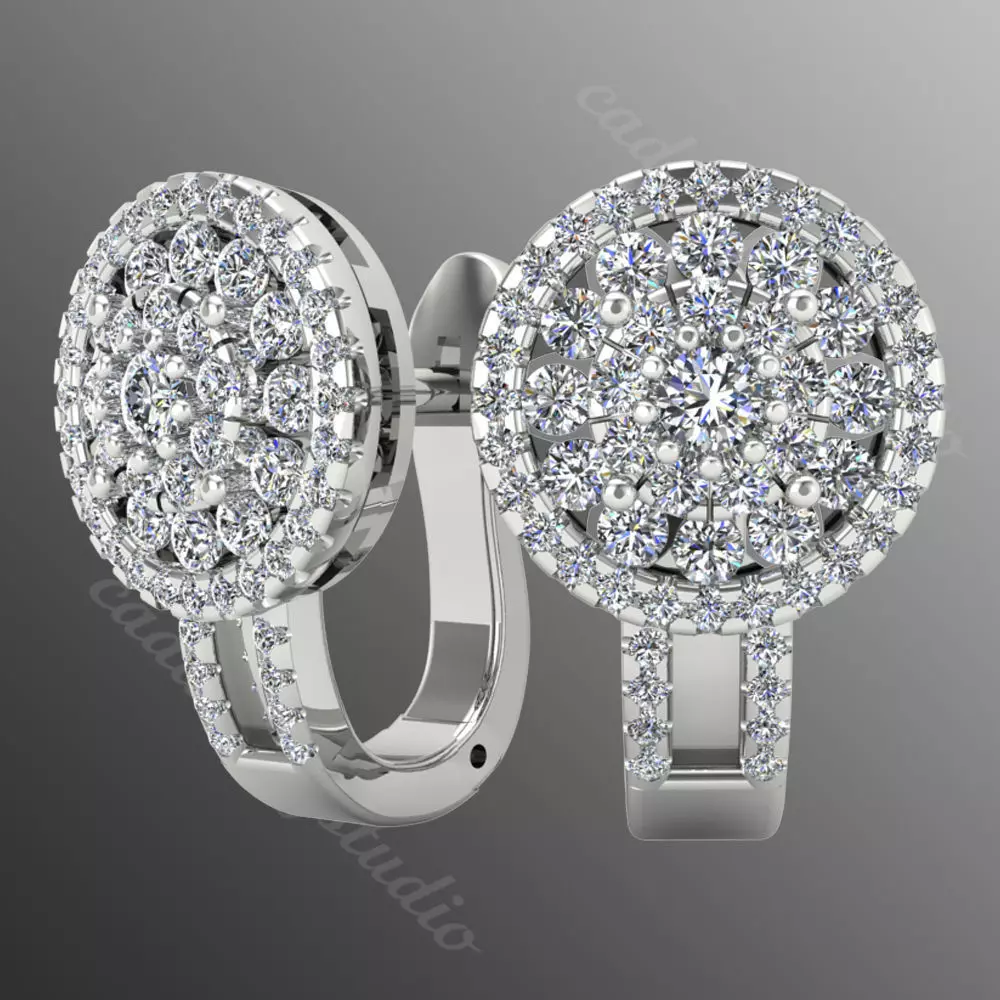 Earrings kt13 3D print model_0