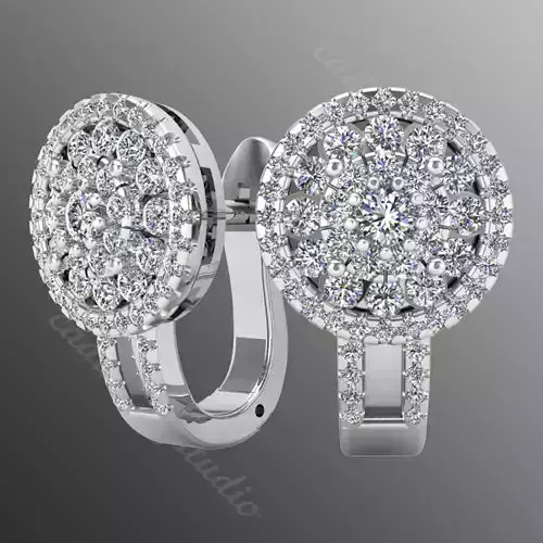 Earrings kt13 3D print model