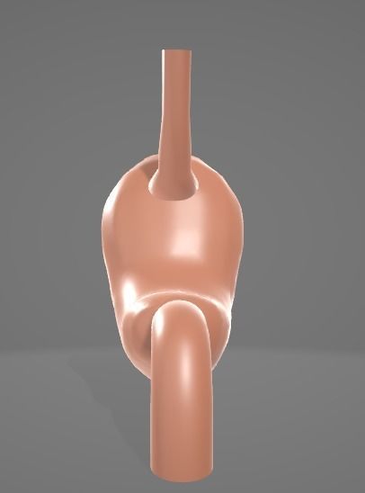 HUMAN STOMACH - ANATOMY Low-poly 3D model_6