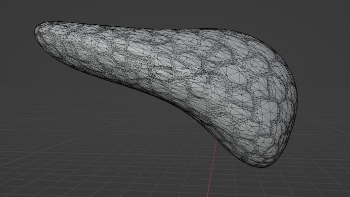PANCREAS - HUMAN ANATOMY Low-poly 3D model_2
