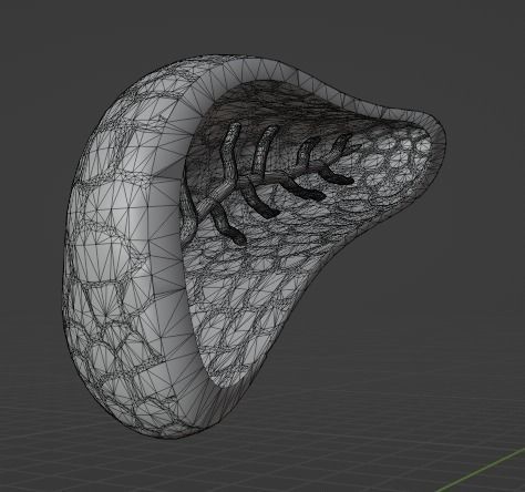 PANCREAS - HUMAN ANATOMY Low-poly 3D model_1