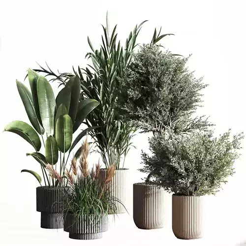 IndoorSetPlant41 two palm plants in pot