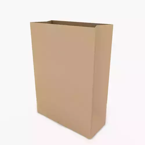 paper bag