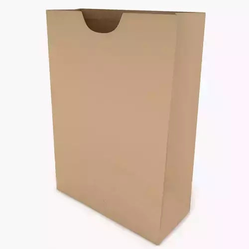 Paper Bag 4