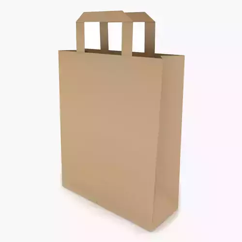 Paper Bag 5