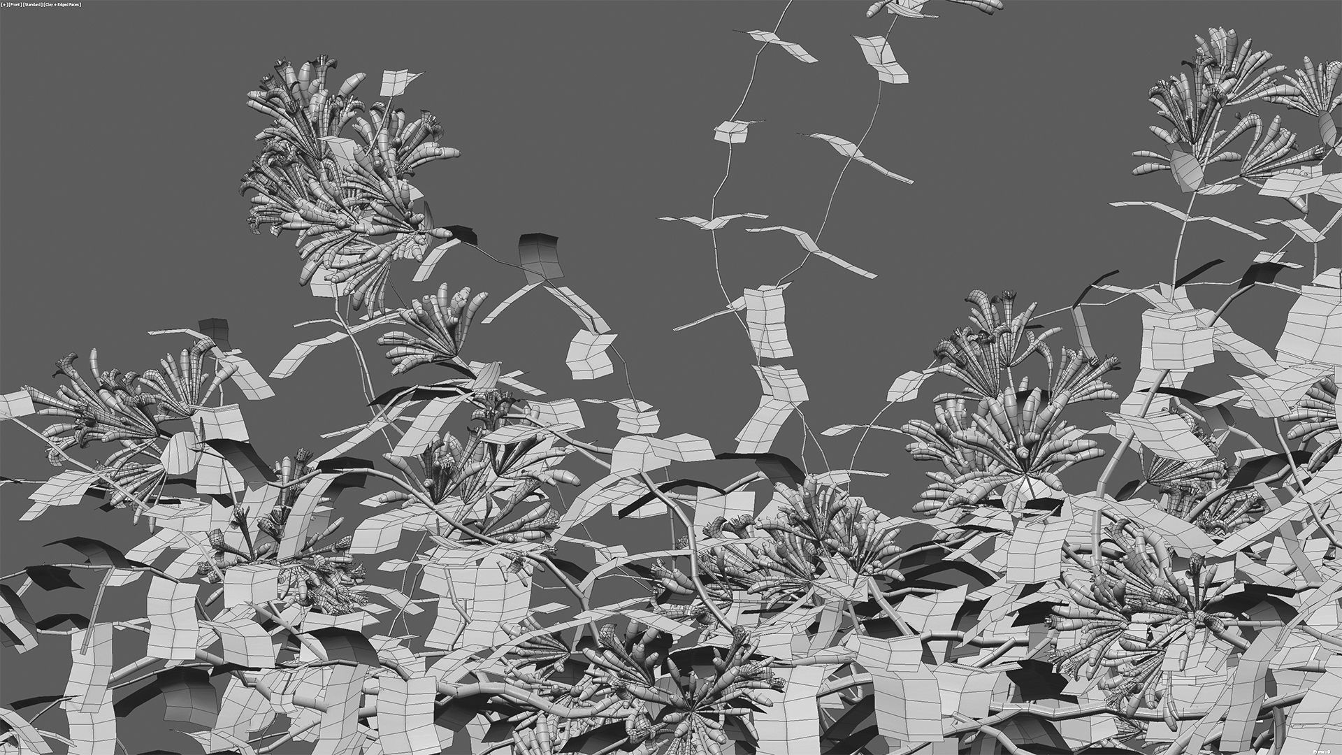 Lonicera Mandarin - Honeysuckle 03 3D model_9