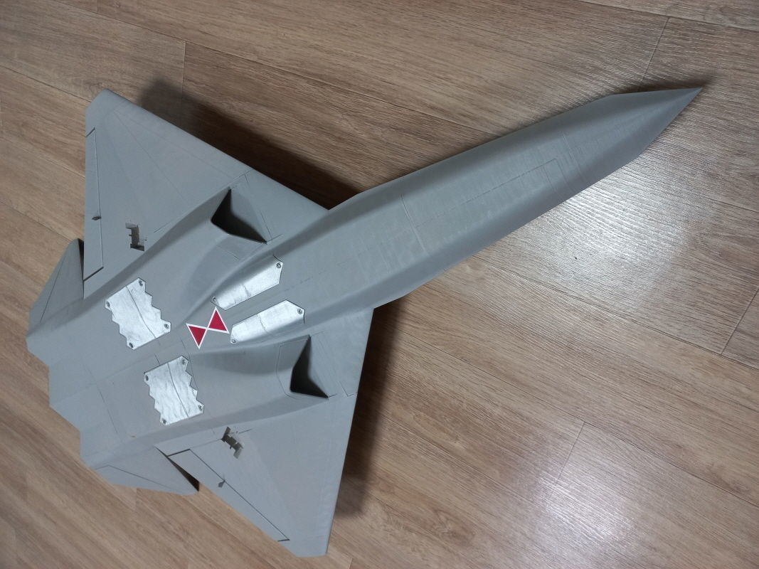 RC 3D Printed YF-23 Black Widow II 3D print model_5