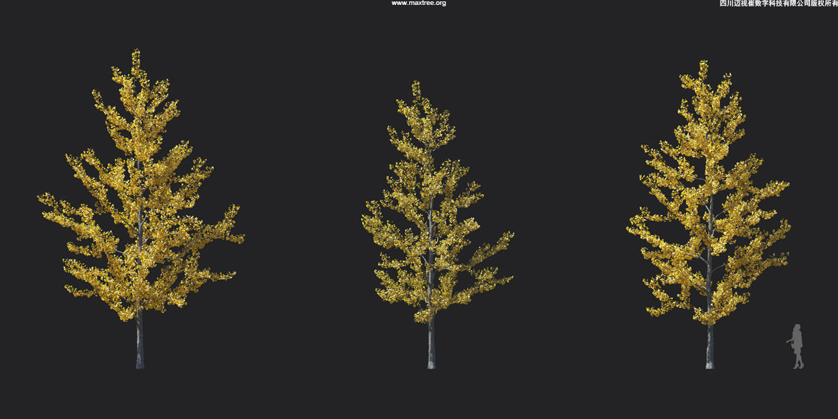 Maxtree Plant Models Vol 17 - Mesh 3D model_13
