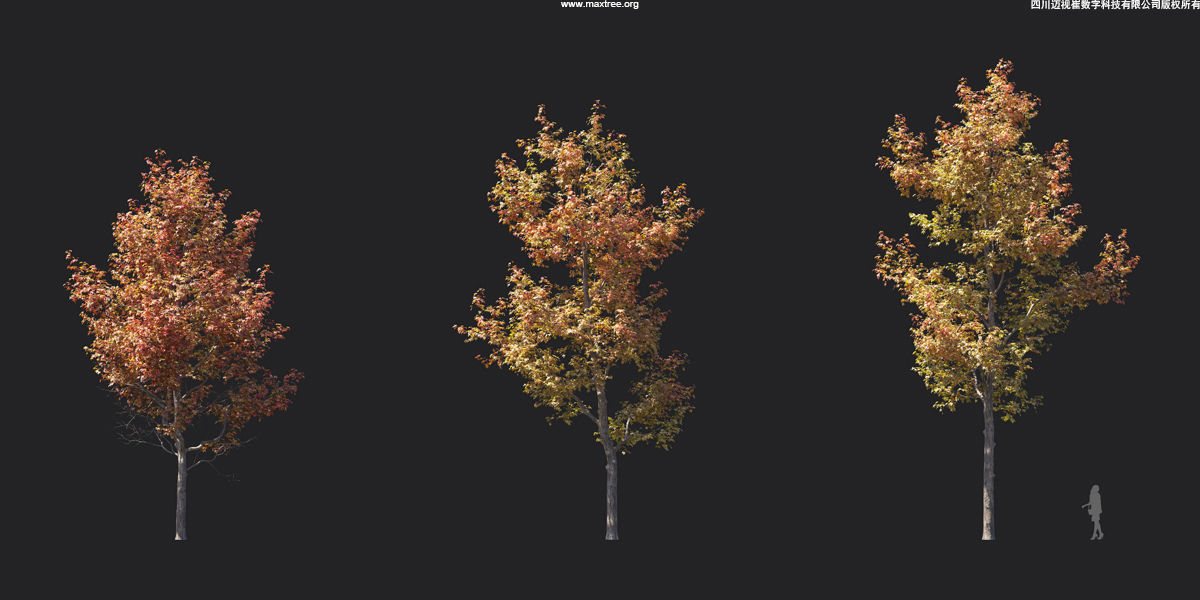 Maxtree Plant Models Vol 17 - Mesh 3D model_17