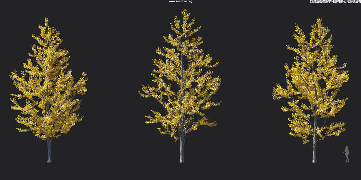 Maxtree Plant Models Vol 17 - Mesh 3D model_12